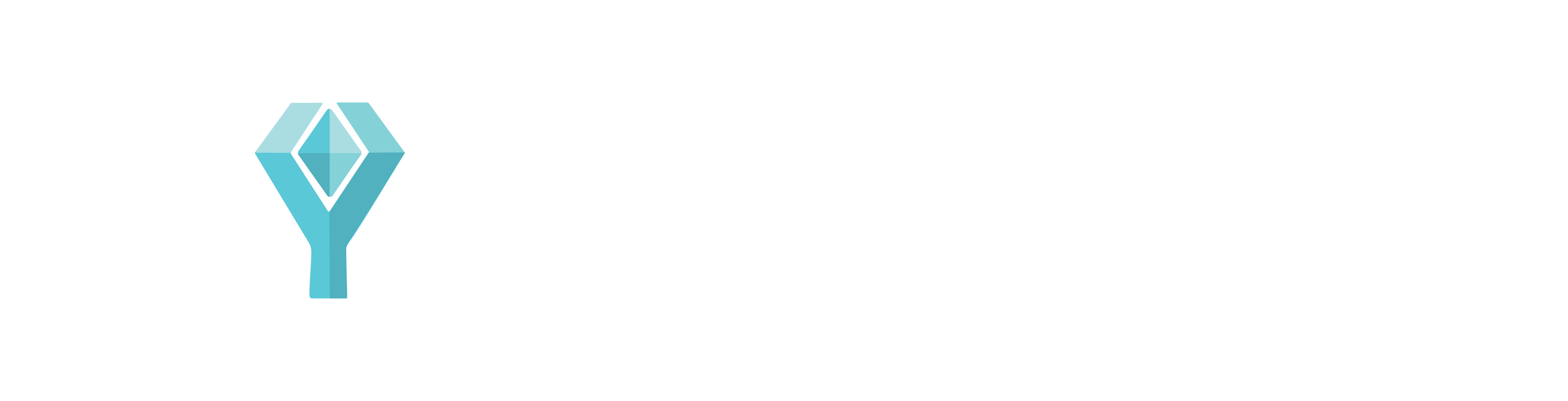 DYVOTRON Logo